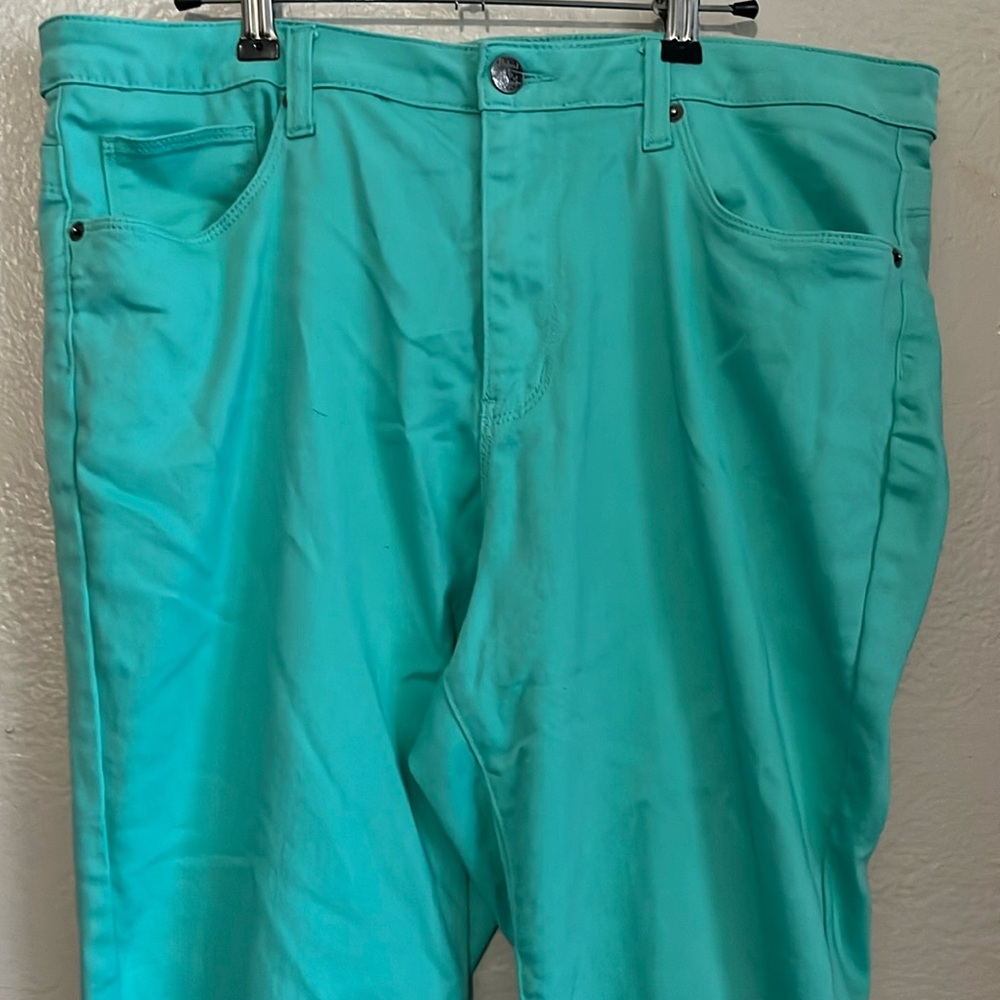 Hybrid & Company mint green cotton stretch plus size pants